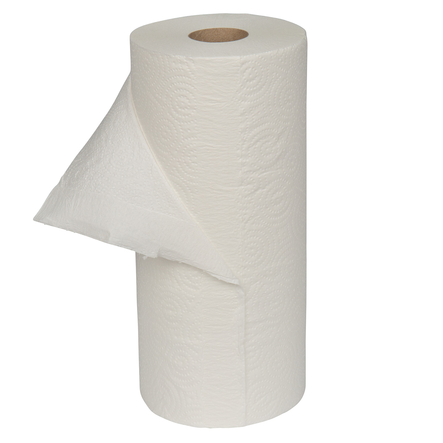 Companions Merit 2-Ply Kitchen Roll Towel, Perforated, White, 250 Sheets