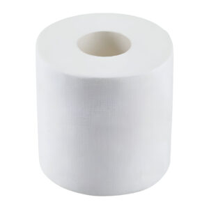 2-Ply Bath Tissue, 4″ x 3″ – 500 Sheets Per Roll